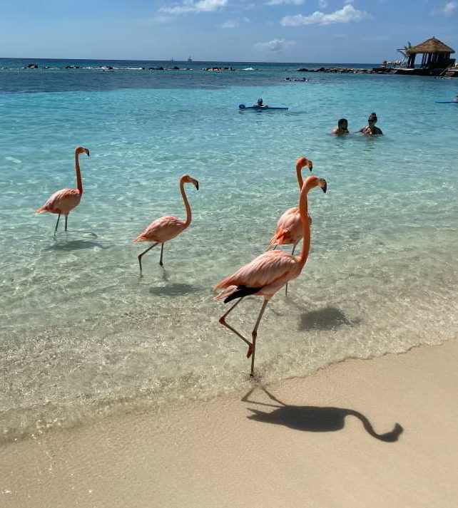 Aruba